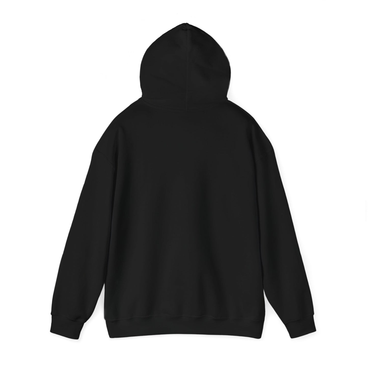AUTHENTIC PRIDE HOODIE (Unisex, Black)