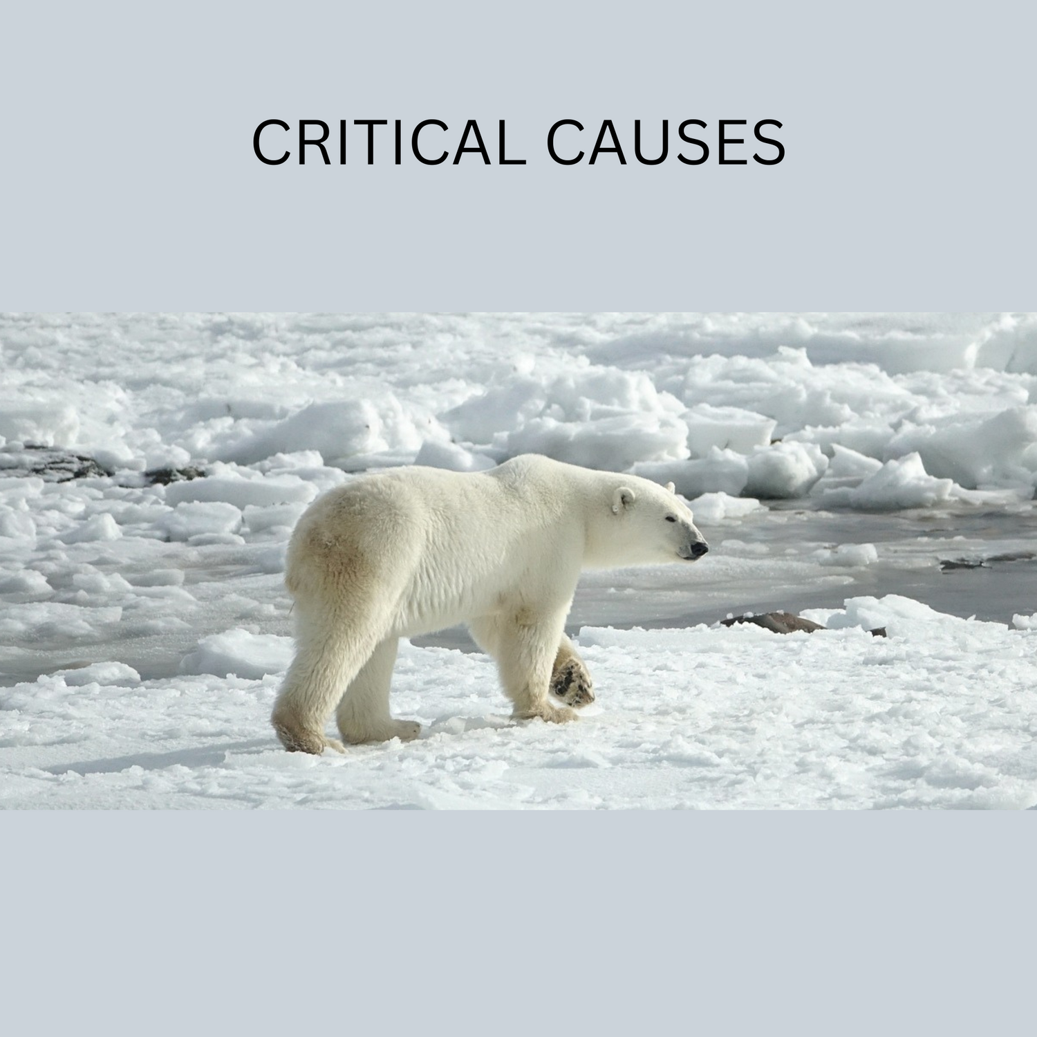Critical Causes