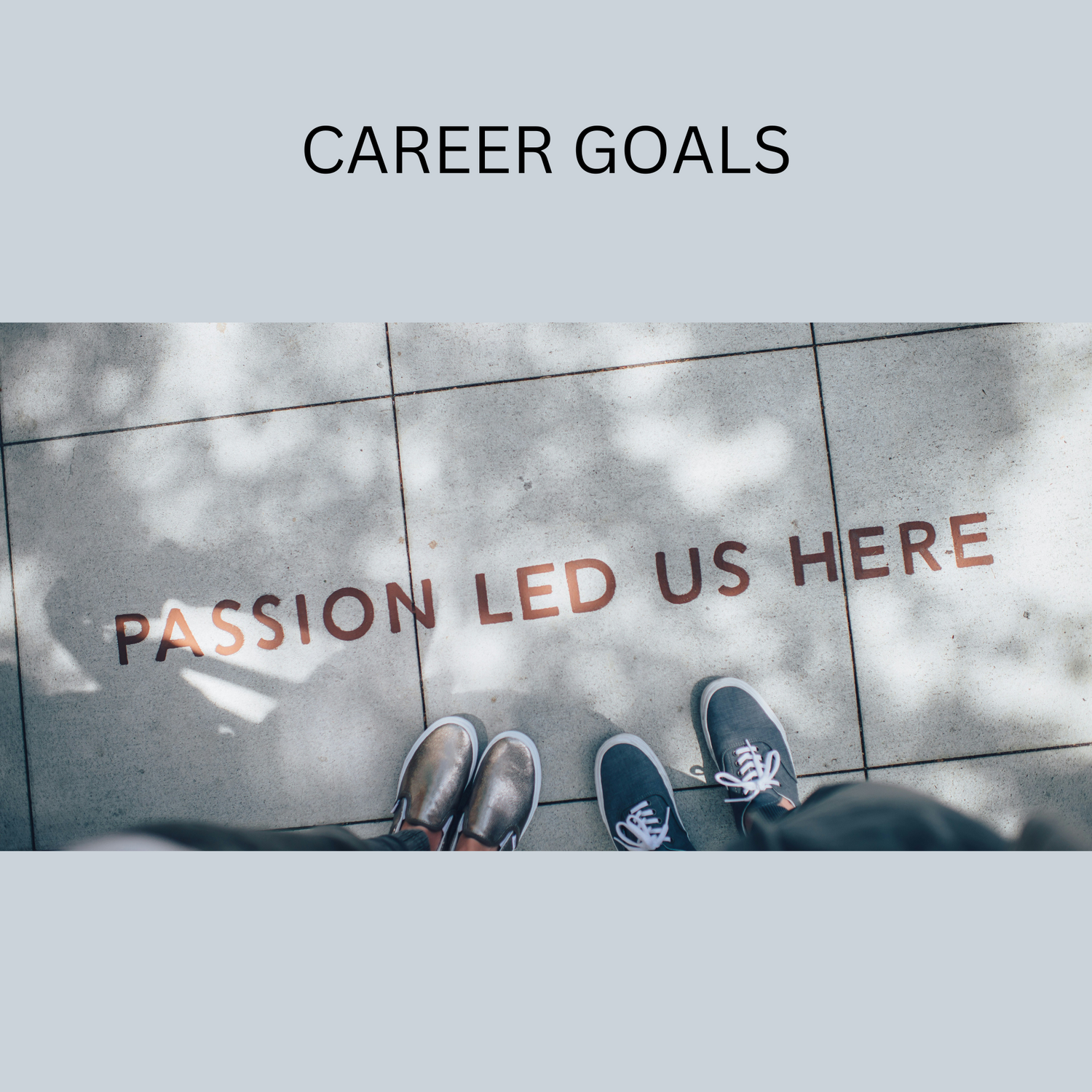 Career Goals